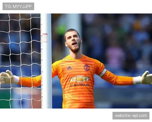 谢尔基被詹俊评为本季英超最佳引援，舆论认可度持续走高